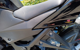 KAWASAKI NINJA 250R EX250K