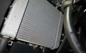 SUZUKI GSX-R125 2024 DL33B
