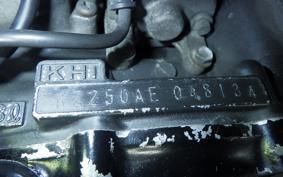 KAWASAKI Z250 FT KZ250A