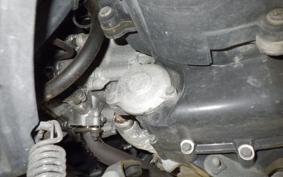 YAMAHA MAXAM 250 SG17J