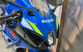 SUZUKI GSX-R1000R ABS 2019 DM11G