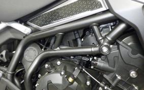 TRIUMPH TIGER 900 GT 2026