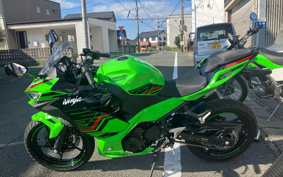KAWASAKI NINJA 250 KRT ED EX250Y