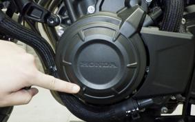 HONDA NX400 2025 NC65