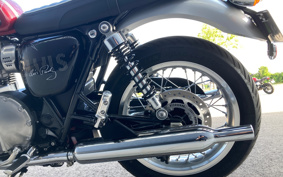 TRIUMPH  TRIUMPH  BONNEVILLE T120 L  SCREW  2024 DAD75H
