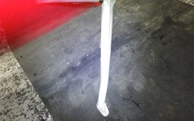 DUCATI 916 MONOPOSTO 1996