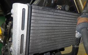 HONDA HORNET 250 MC31
