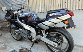 YAMAHA FZR250R-1 3LN
