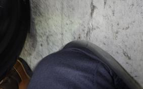 HONDA REBEL 1100 DCT 2022 SC83