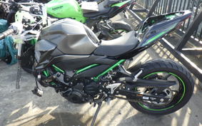 KAWASAKI Z250 Gen.2 2018 EX250Y