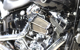 HARLEY FXSB BREAKOUT 2013 BF5