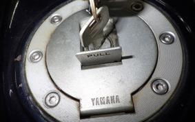 YAMAHA SRX250 Gen.2 3WP