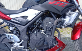 YAMAHA MT-25 RG10J