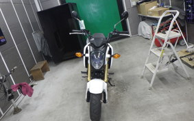 HONDA GROM 2022 JC61