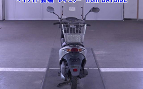 HONDA DIO CHESTER