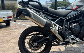 TRIUMPH TIGER 900 RALLY PRO 2025 TRC83D