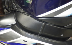 SUZUKI GSX-R1000 2007