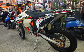 KTM 250 EXC F SIXDAYS EXA40