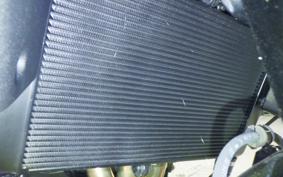 YAMAHA XSR900 GP 2026 RN96J