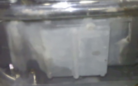 HARLEY FLSTN 1450 2005