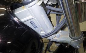 SUZUKI ST250E 2010 NJ4CA