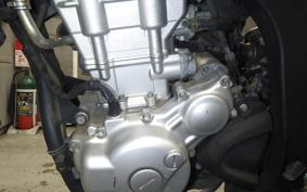 YAMAHA WR250X 2024 DG15J