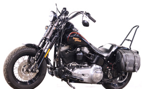 HARLEY FLSTSB 2009 JM5