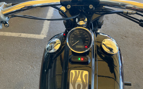 HARLEY FXCW 2008 JJ5