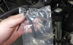 HONDA REBEL 250 E-Clutch MC49
