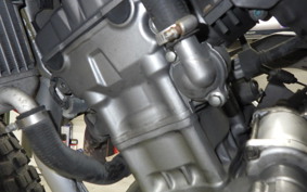 HONDA CRF250L 2010 MD38