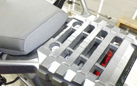 SUZUKI Vｽﾄﾛｰﾑ650XTA 2021 C733A