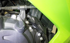 KAWASAKI NINJA 250 2 2024 EX250Y