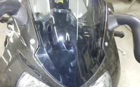 BMW HP2 SPORT 2009
