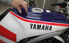 YAMAHA FZ400 R 1989 46X