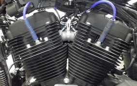 HARLEY XL1200NS 2020