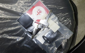 YAMAHA NMAX-3 2019 SEL1J