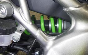 KAWASAKI ZX-4RR 2024 ZX400P