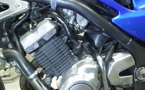 KAWASAKI BALIUS 250 Gen.2 2021 ZR250B