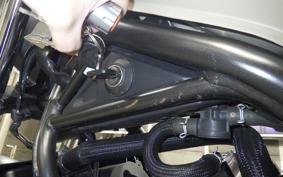 HONDA REBEL 250 A 2010 MC49
