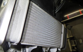 YAMAHA XSR155 2024