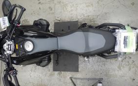 BMW R1300GS 2024