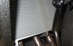 KAWASAKI NINJA1100SX 2025 ZXT10H