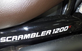 TRIUMPH SCRAMBLER 1200X 2024