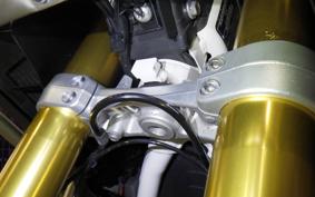 TRIUMPH TIGER 1200 RALLY EX 2023