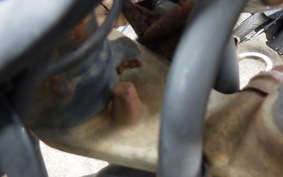 YAMAHA VIRAGO 250 3DM