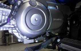 HONDA MONKEY 125 2005 JB03