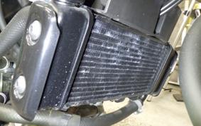 YAMAHA XSR155 2021
