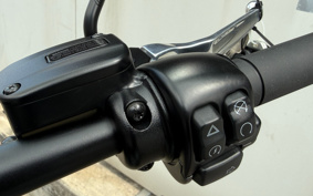 HARLEY FXFBS 2026 YLK