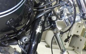 OTHER +HD. FXSTC1580 2010