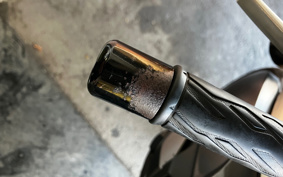 SUZUKI DL1000 ( V-Strom 1000 ) 2016 VU51A